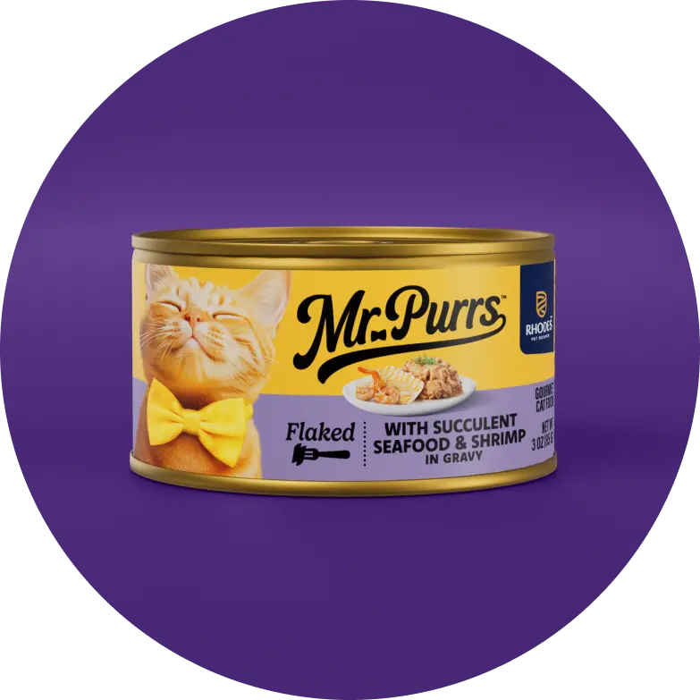 Succulent Seafood & Shrimp