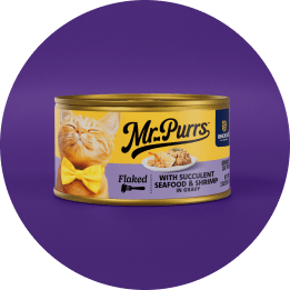 Succulent Seafood & Shrimp